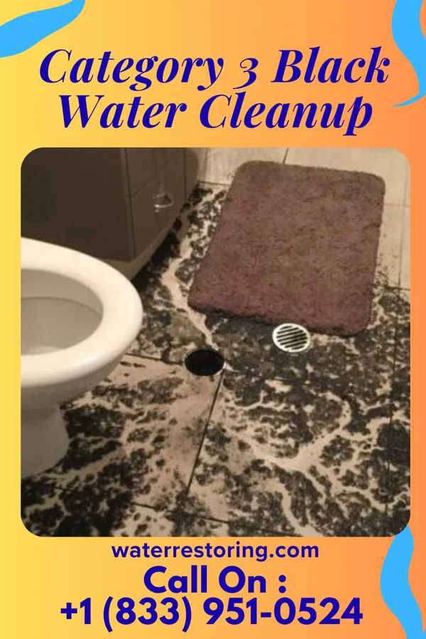 Category 3 Black Water Cleanup in Emmet, AR