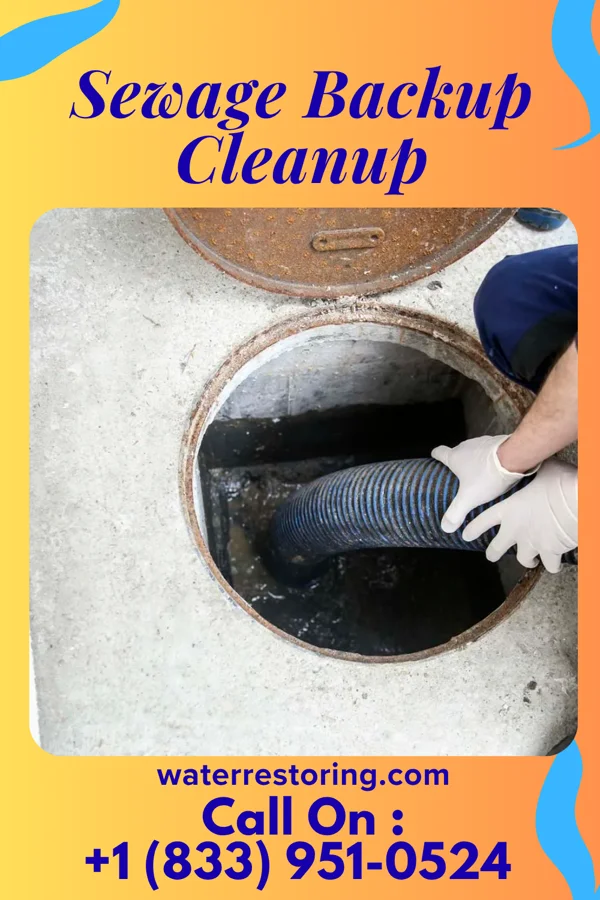 Sewage Backup Cleanup in Emmet, AR